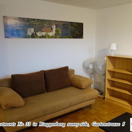 Schwizi'S Apartments Рингенберг Екстериор снимка